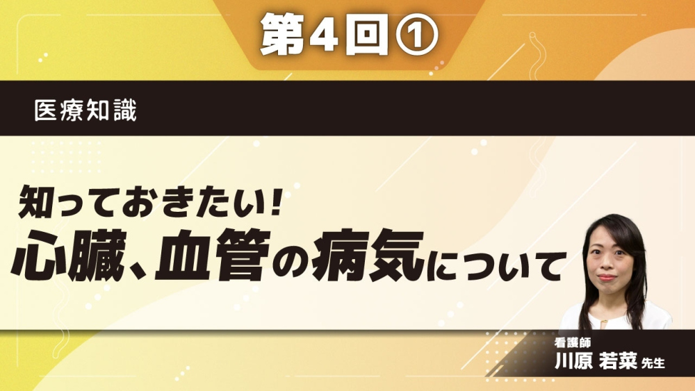 医療知識 【第4回】知っておきたい！心臓、血管の病気について Part①循環器ってなに？