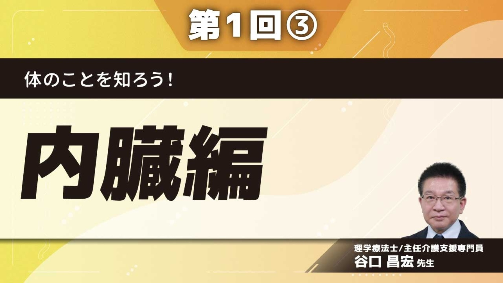 体のことを知ろう！ 【第1回】内臓編 Part③泌尿器系/脳